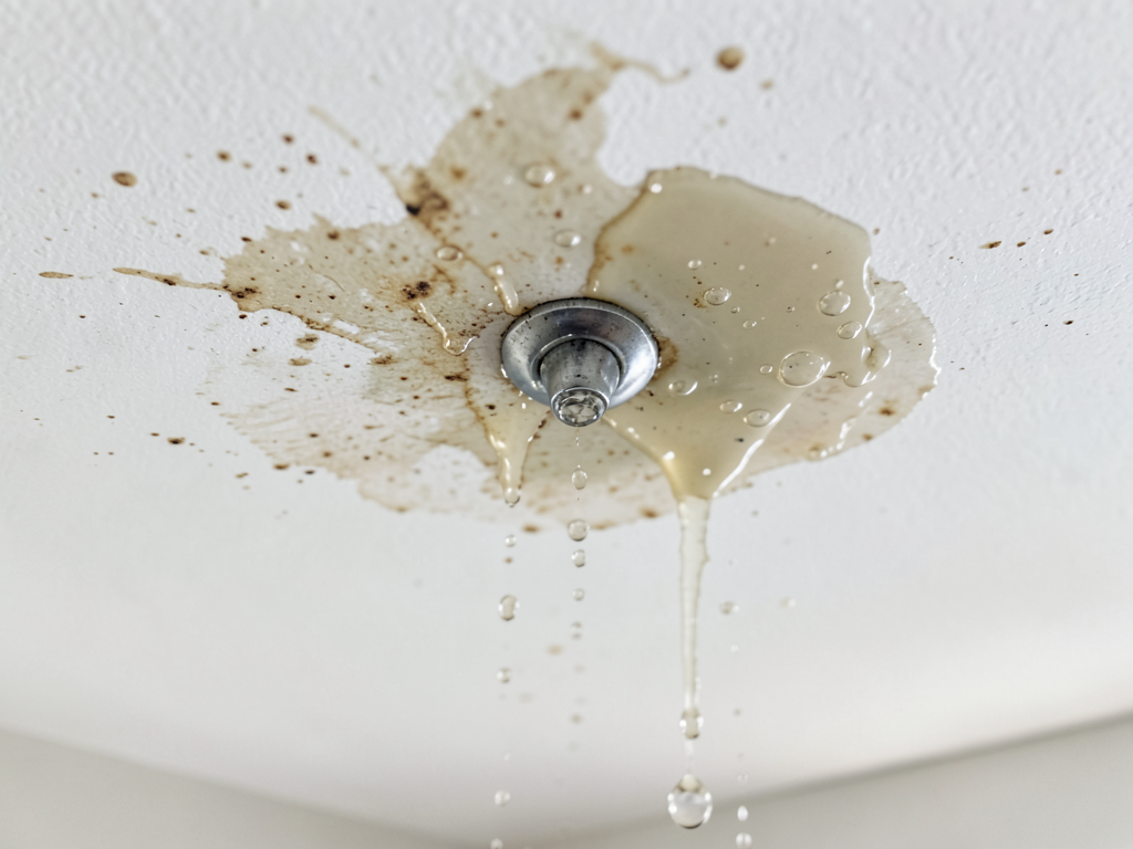 Red flags for water damage to look for when touring a home for sale in Coconut Grove