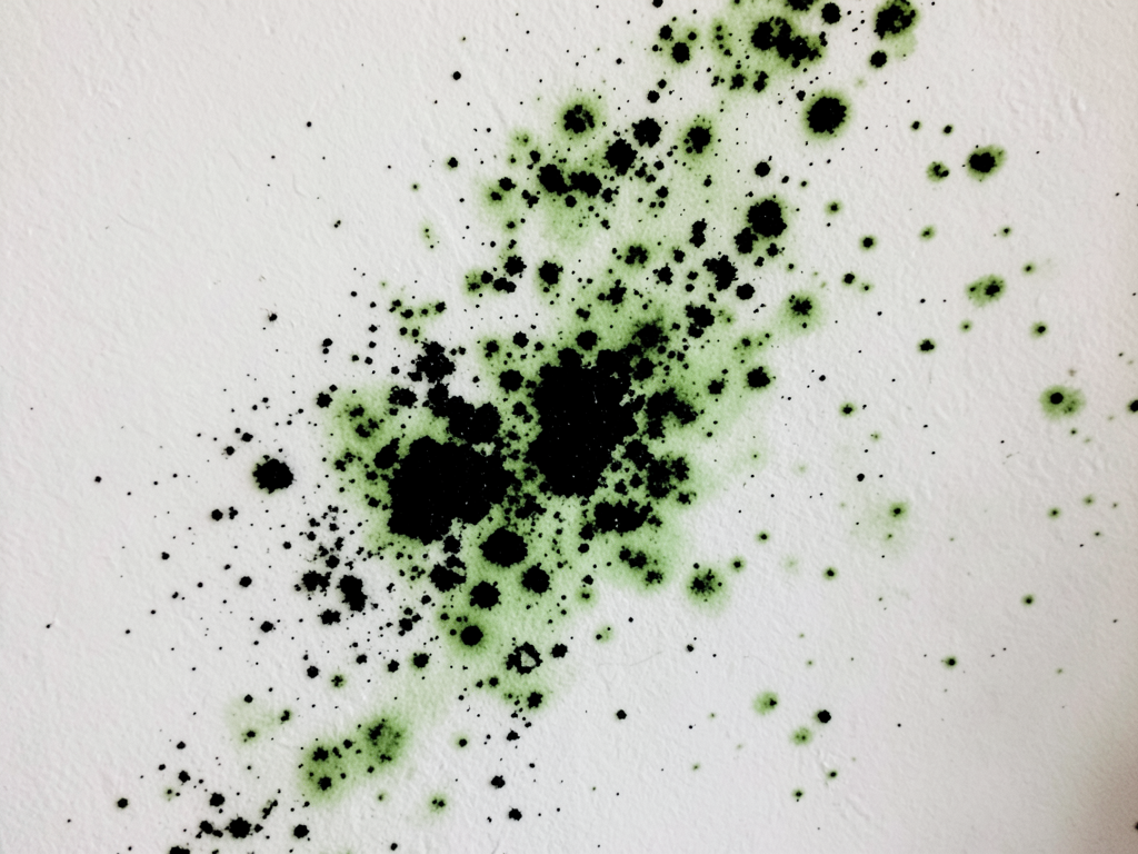 Why your family’s sudden allergies might be linked to a hidden leak in your Little Haiti cottage